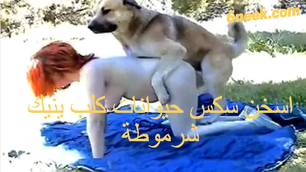 اسخن سكس حيوانات كلب ينيك شرموطة