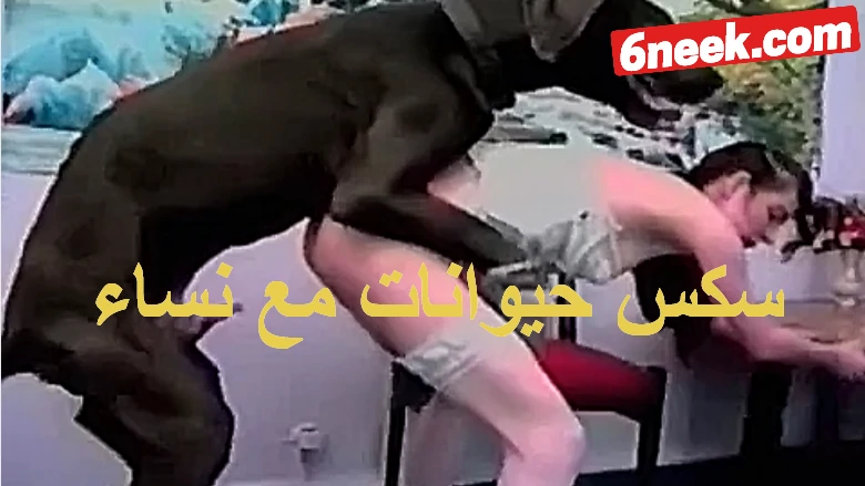 سكس حيوانات مع نساء نيك بنت من كلب نار