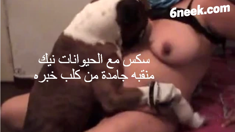 سكس مع الحيوانات نيك منقبه جامدة من كلب خبره